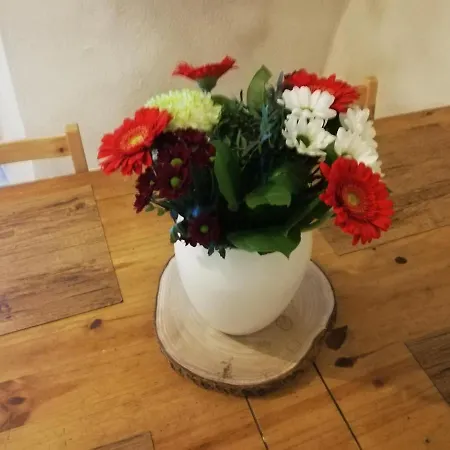 Les Insolites De 3 Appartement